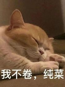 不吐泡泡的鱼