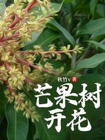 芒果树开花