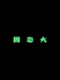 固态火