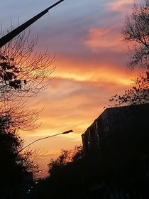 写给她的故事