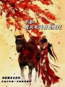 不如我從來沒有出現(xiàn)過