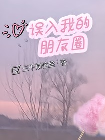 误入我的朋友圈