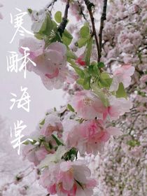寒酥海棠