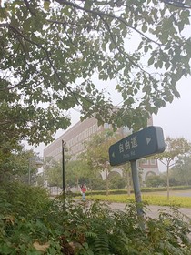 英雄惜玉