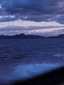 爱埋葬于深海