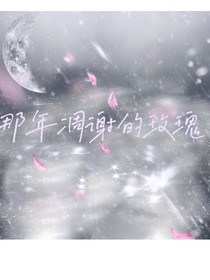那年凋谢的玫瑰