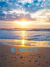 喜：緣起之光