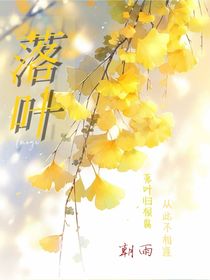 落叶（言情）
