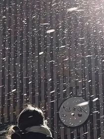 天空龙华
