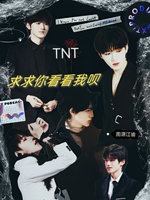 TNT：求求你看看我呗