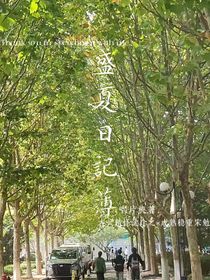 盛夏日记薄