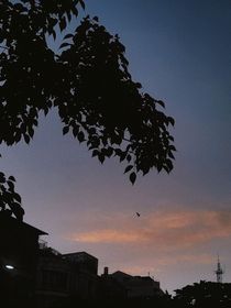 那天她走了再也不回來了