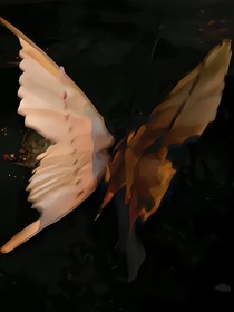 自喜小众文案