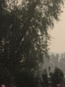 长风一予