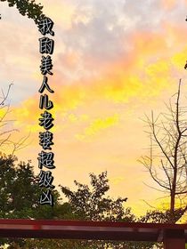 我的美人儿老婆超级凶