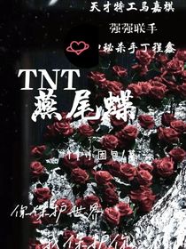 TNT燕尾蝶