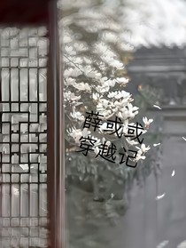 薛或或穿越記