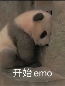 祂和TA