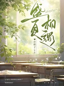 盛夏相遇：有始有终