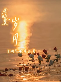 唐晓翼之岁月