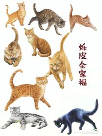 假如雷族有群聊