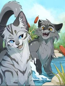 猫武士（瞎写的）