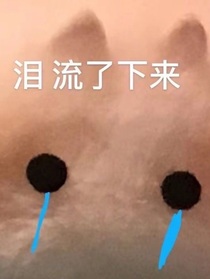 盘点学校那些事