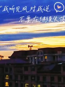 孤狼向陽
