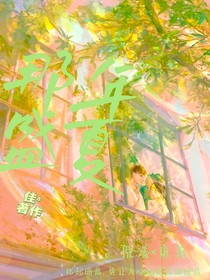 那年盛夏丫