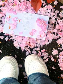 谁是妻管严我不说-d005