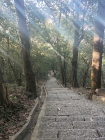 快穿之我和猫猫有个约