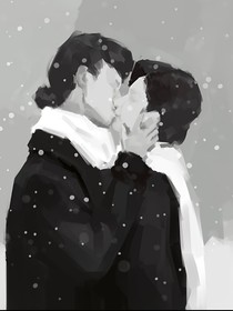 興起的落幕