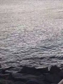 潮汐海