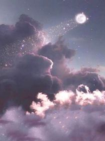 暗夜玫瑰rose