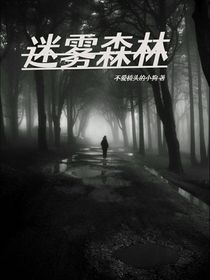 迷雾出逃