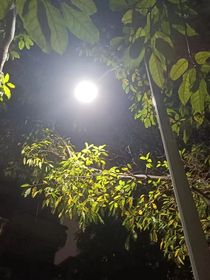 落寞的梦想
