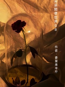 菜菜随笔世界GB