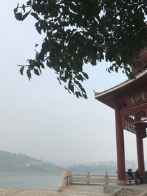 芸论世