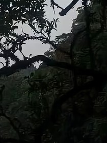 祁氏仙