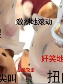 發(fā)瘋火葬場