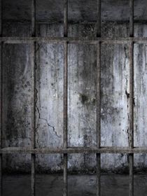 我这个小可怜的不可能实现的心愿