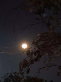 混沌尘埃