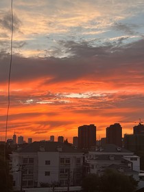 古代姜绍蓬