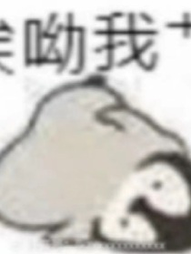 魔法de之遇
