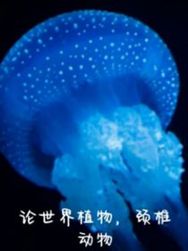 论世界，无颈椎