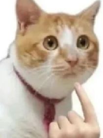 重生之團寵人生