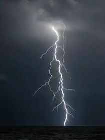 欣欣向王