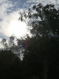 平凡小助理和奇怪大明星
