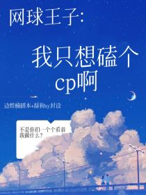 网球王子：我只想磕个cp啊