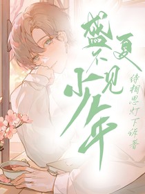 盛夏不见少年